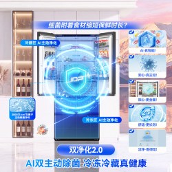 容声 BCD-510Q50FZLBD 法式多门 一级能效冰箱
