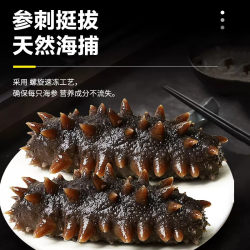 颐口福 即食海参鲜食海参 9A高端海鲜礼盒送礼 1000g 8-10头/斤（营养美味）