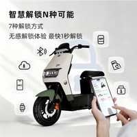 绿源 F21D 新国标 电动自行车