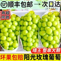 移动端：绿念 云南阳光玫瑰青提 5斤 顺丰送上门