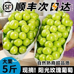 甜畅 山西阳光玫瑰葡萄 5斤
