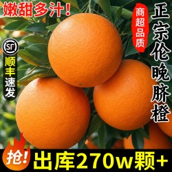 顾一 湖北秭归脐橙 1斤 60-70mm