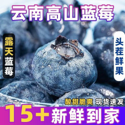 云南 昆明市 蓝莓 18mm及以上 2盒