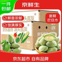 京鲜生 青皮巴旦木净3斤新鲜采摘即食当季品鲜香脆嫩 源头直发