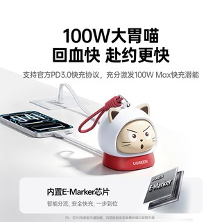 绿联 100W双Type-C伸缩数据线