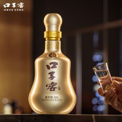 口子窖 10年型41度500ML*2瓶