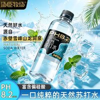 汤臣牧场 天然苏打水 360mL*6瓶