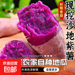 紫罗兰 国产紫薯 2斤 小果