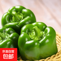  山东 圆椒 1.8斤 新鲜圆辣椒 太空椒