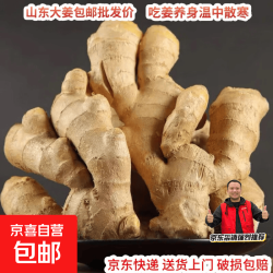 山东 新鲜大姜 1.8斤 水洗净姜