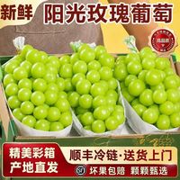 百亿补贴：果颂 四川西昌阳光玫瑰葡萄青提脆甜水果应季葡萄现摘现发