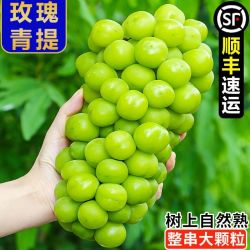 御品一园 阳光玫瑰葡萄新鲜水果晴王无籽香印青提当季2.7斤起