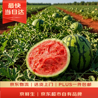 京鲜生 无籽麒麟瓜 2.5kg