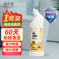 宋香潮 洁厕灵 洁厕液 马桶清洁剂 500g 卫生间除臭垢 杀菌去异味