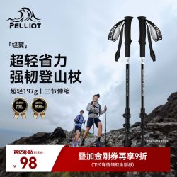 伯希和 户外登山杖碳素伸缩手杖拐棍爬山装备碳纤维徒步拐杖 曜石黑