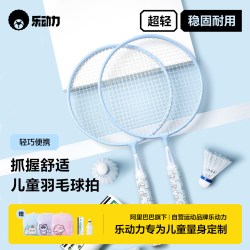 乐动力 Ledo 乐动力 铭羽 LDL-250820 儿童羽毛球双拍套装