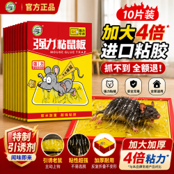 坤宁王 粘鼠板超强力粘板老鼠贴药捕鼠一窝端神器灭鼠驱鼠器家用大号加厚