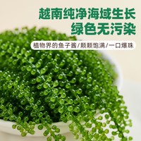 自然道 儿童海葡萄即食 儿童海葡萄100g*3袋