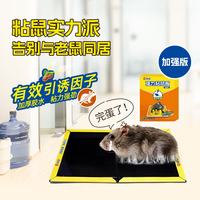 榄菊 粘鼠板加大加厚强力粘鼠贴家用折叠5片装捕老鼠物理灭鼠安全 5张装 强力粘鼠贴