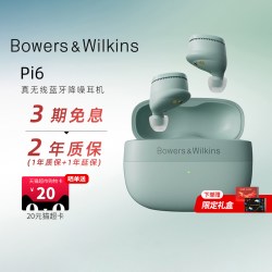 宝华韦健 Pi6 入耳式真无线主动降噪蓝牙耳机 檀木黑