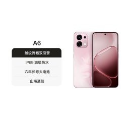 OPPO A6 5G手机 12GB+256GB 丝绒灰
