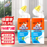 威猛先生 淡雅茉莉洁厕液600g家用厕所马桶清洁除臭除菌除垢洁厕啫喱2瓶