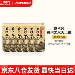 或不凡 黄河之水精酿啤酒 500ml*6罐
