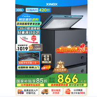 星星 零下30℃ 冰柜  300L