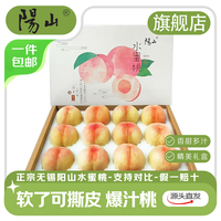 阳山 水蜜桃 单果4-5两 10粒装 2.4kg
