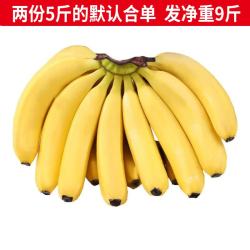 静益乐源 新鲜云南大香蕉  5斤