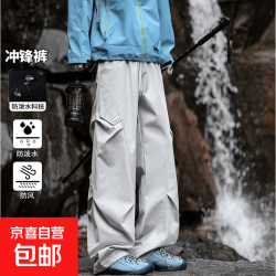防晒裤速干裤工装冲锋裤男女夏薄款运动裤宽松裤子 浅灰色 L