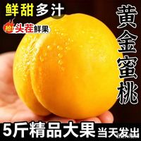 甜芋果月 正宗山东蒙阴黄桃  新鲜水果当应季桃子整箱露天蜜桃甜黄金肉脆甜 10斤畅享装（净重10斤）