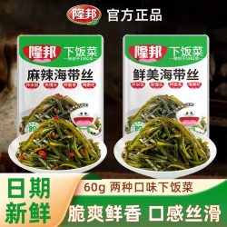 隆邦 麻辣海带丝开袋即食下饭菜拌饭麻辣咸菜零食凉拌小包装60g/包 麻辣海带丝60克*10袋-高性价比