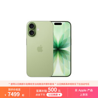 Apple iPhone 17 5G手机 8GB+512GB 鼠尾草绿色