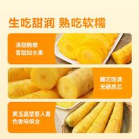 东方甄选 新鲜胡萝卜 黄色 3斤装 根茎类蔬菜