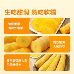 东方甄选 新鲜胡萝卜 黄色 3斤装 根茎类蔬菜