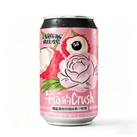 傲汀格 柠檬小麦草味水果精酿啤酒 330ml*6罐
