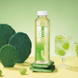 碧山村 仙人掌青提维B水 0脂款 500ml*5瓶