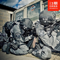 ARC'TERYX LEAF 军鸟ASSAULT AR PANT  耐磨 战术长裤突击裤 始祖鸟军版 Wolf | 狼灰 XL