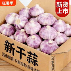 思鲜园 山东金乡紫皮大蒜头干蒜农家自种蔬菜红皮大蒜新鲜当季批发价自提