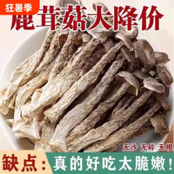 醉锅里 鹿茸菇 500g+251g+100g 袋装
