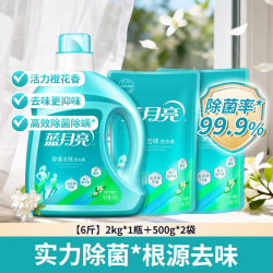 蓝月亮 除菌去味洗衣液 活力橙花