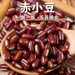 赤小豆精心挑选道地品质味道自然干净不掺杂五谷营养品煲汤煮粥