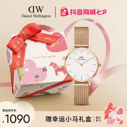 Daniel Wellington DW手表女表复古PETITE系列流金表石英表女腕表28mm