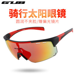 GUB 6500偏光骑车近视防风沙公路摩托车户外运动风镜护目镜登山