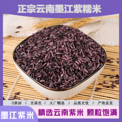 云南墨江紫米紫糯米正宗五谷杂粮黑米血糯米饭团米