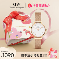 Daniel Wellington DW手表女表女士手表PETITE系列流金表石英表腕表24mm