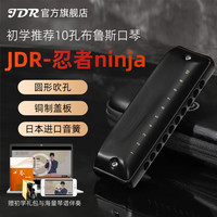 嘉德瑞 忍者NinJa布鲁斯蓝调十孔口琴10孔C调初学者成人用专业演奏