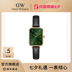 Daniel Wellington DW手表官方旗舰店玫瑰女士腕表QUADRO系列小绿表石英表经典礼物