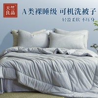 天竺良品原棉被子秋冬款奢华床品新疆棉家用床上用品空调被芯